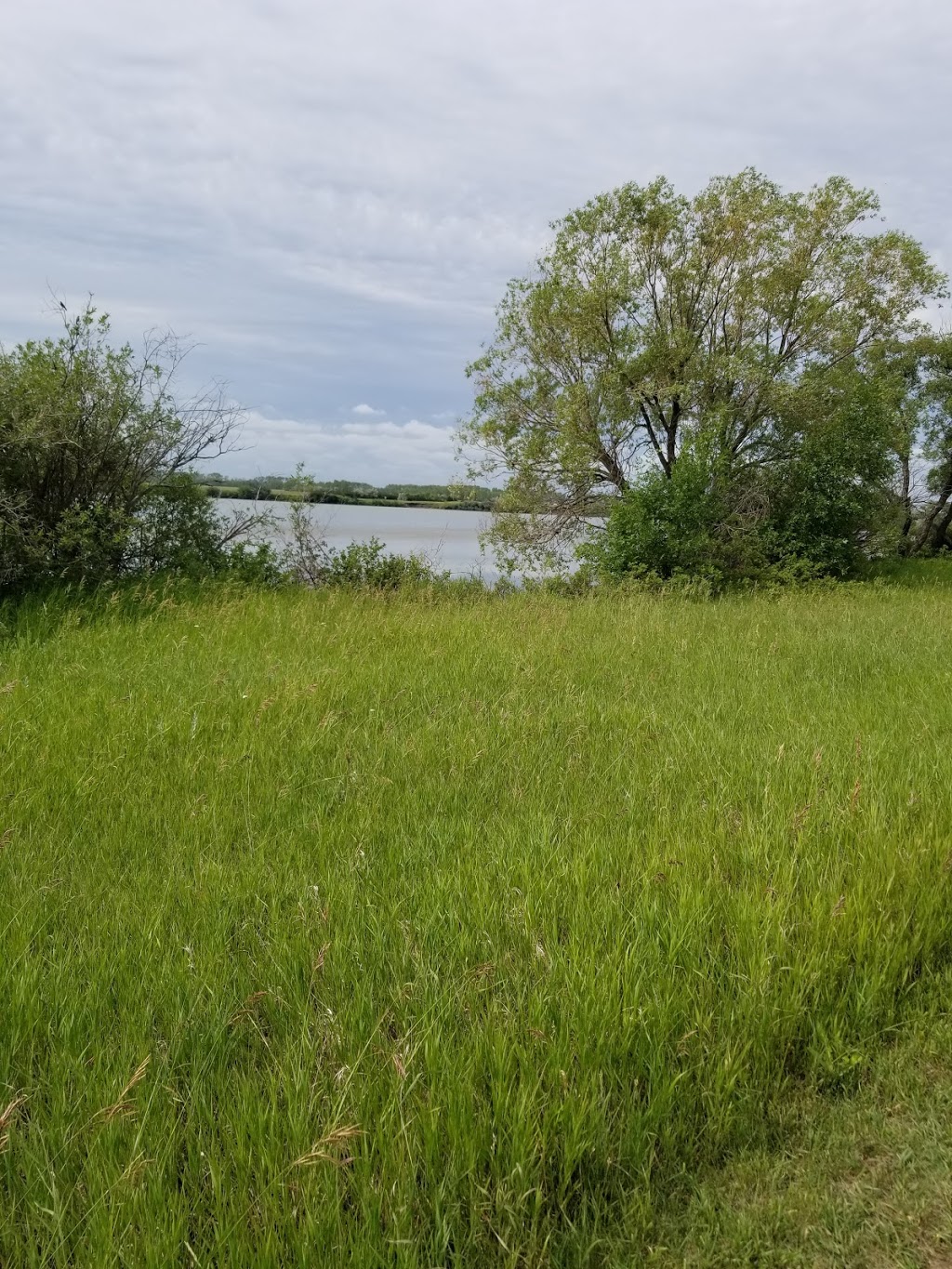 Condie Nature Refuge | Unnamed Rd 3C0, Lumsden, SK S0G 3C0, Canada | Phone: (877) 237-2273