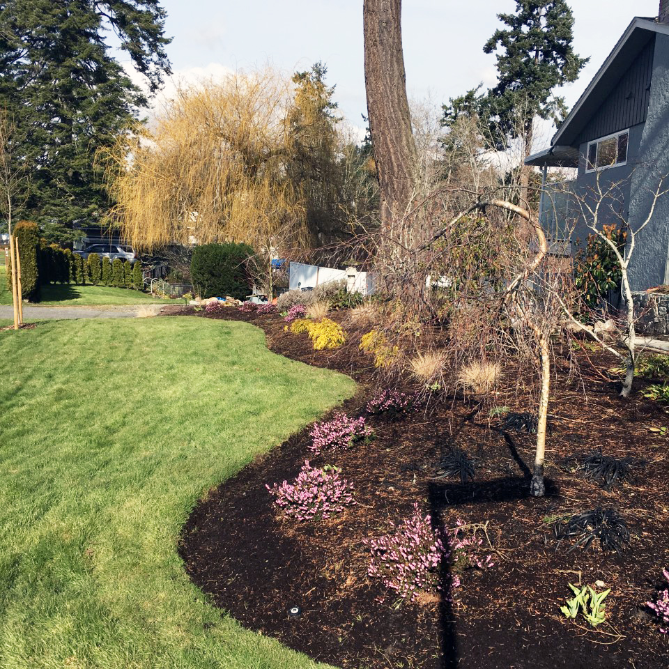 Power Lawn Care | 9256 Rideau Ave, North Saanich, BC V8L 0C5, Canada | Phone: (250) 878-5665