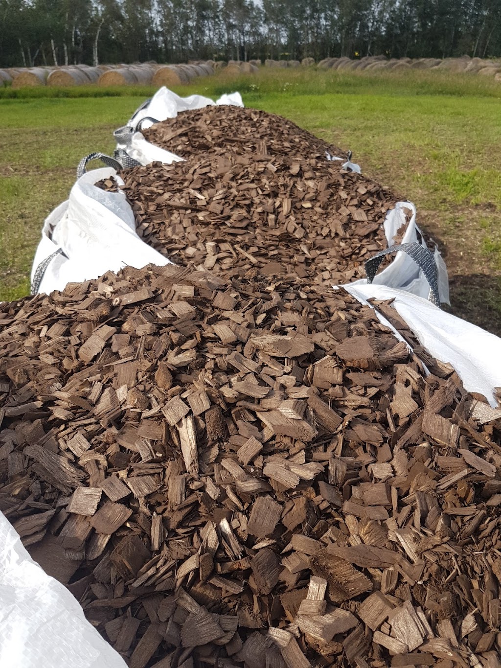 Mulch People | Near Range Rr 201, Stettler, AB T0C 2L0, Canada | Phone: (403) 740-3610