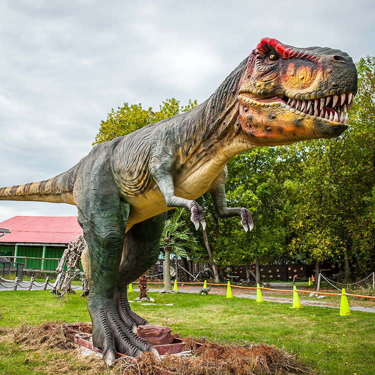 Indian River Reptile & Dinosaur Park | 2206 County Rd 38, Indian River, ON K0L 2B0, Canada | Phone: (705) 639-1443