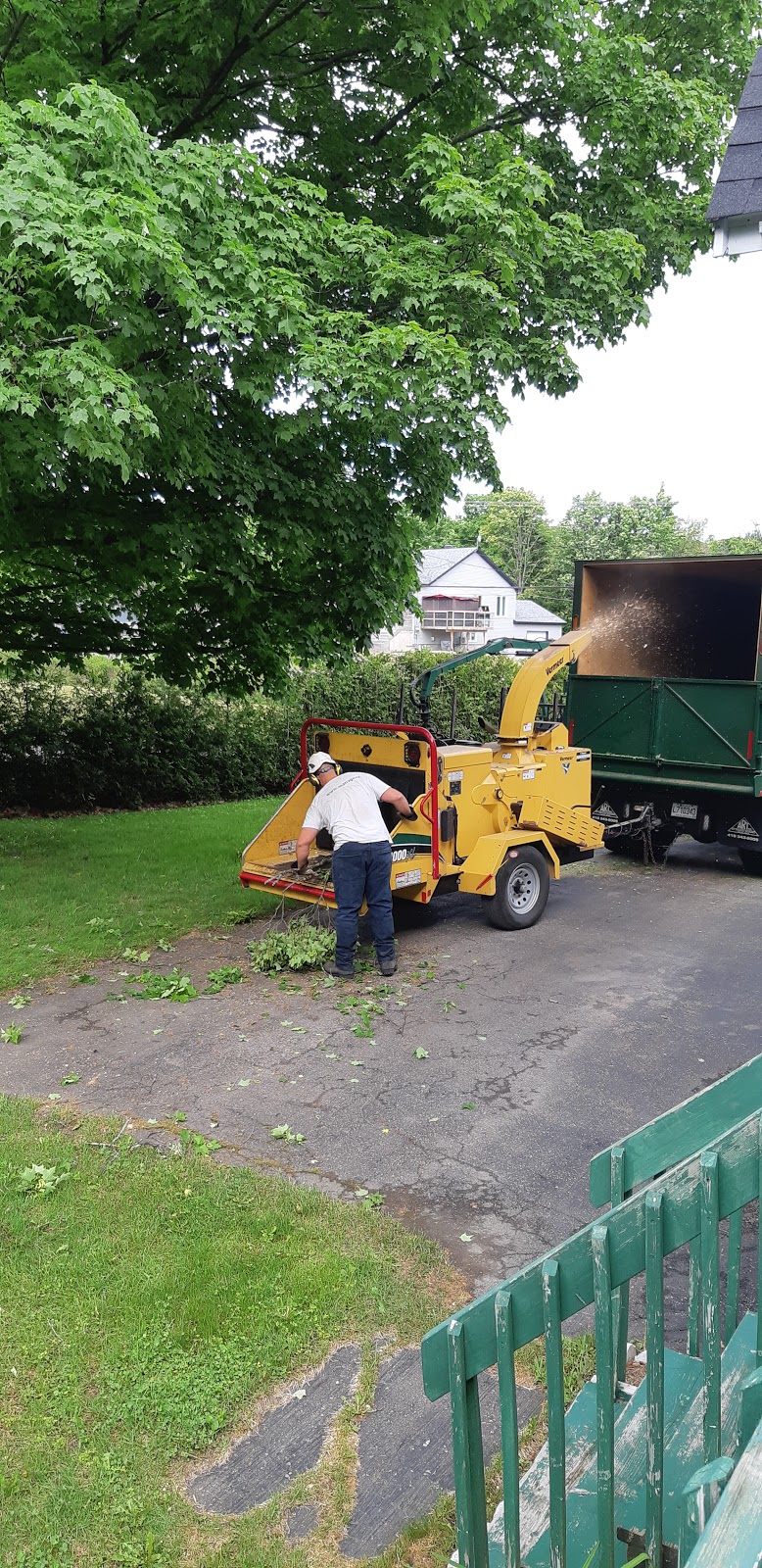 Arboriculture Esh Inc | 896 Rue Lamontagne, Saint-Jérôme, QC J5L 1V2, Canada | Phone: (450) 438-8002