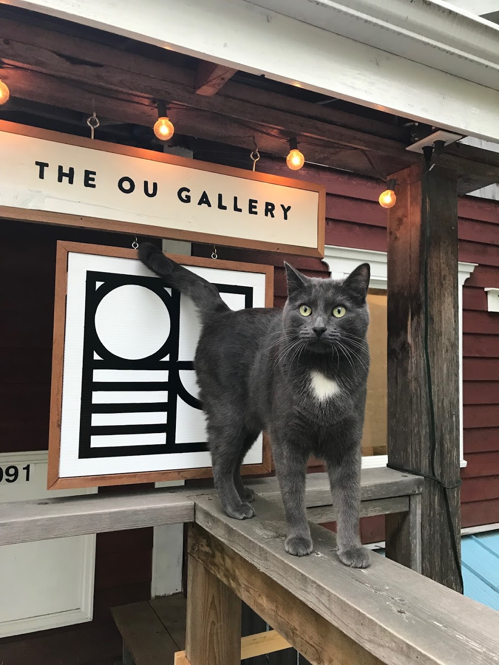 The Ou Gallery | 3091 Agira Rd, Duncan, BC V9L 3Y3, Canada | Phone: (250) 510-8077