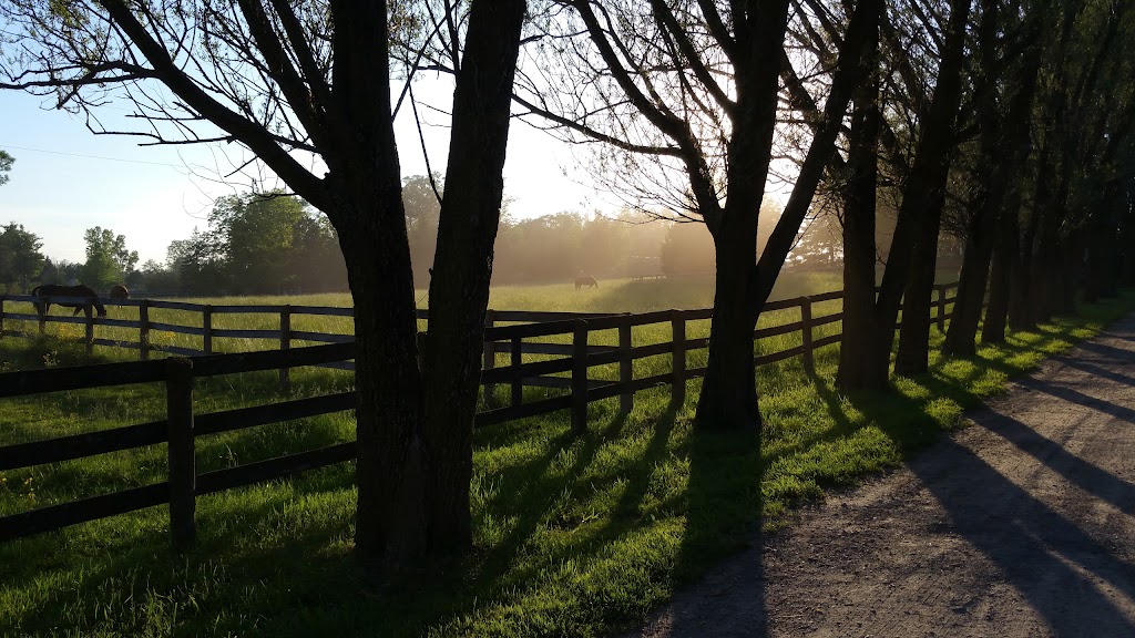 Foxcroft Equestrian Centre | 76 Concession 7 E, Millgrove, ON L8B 1T3, Canada | Phone: (905) 689-0683