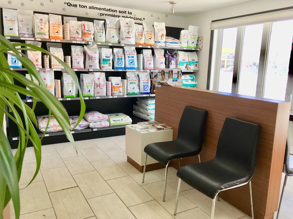 Clinique vétérinaire St-Jean Chrysostome | 811 Avenue Taniata, Saint-Jean-Chrysostome, QC G6Z 2E1, Canada | Phone: (418) 834-7999