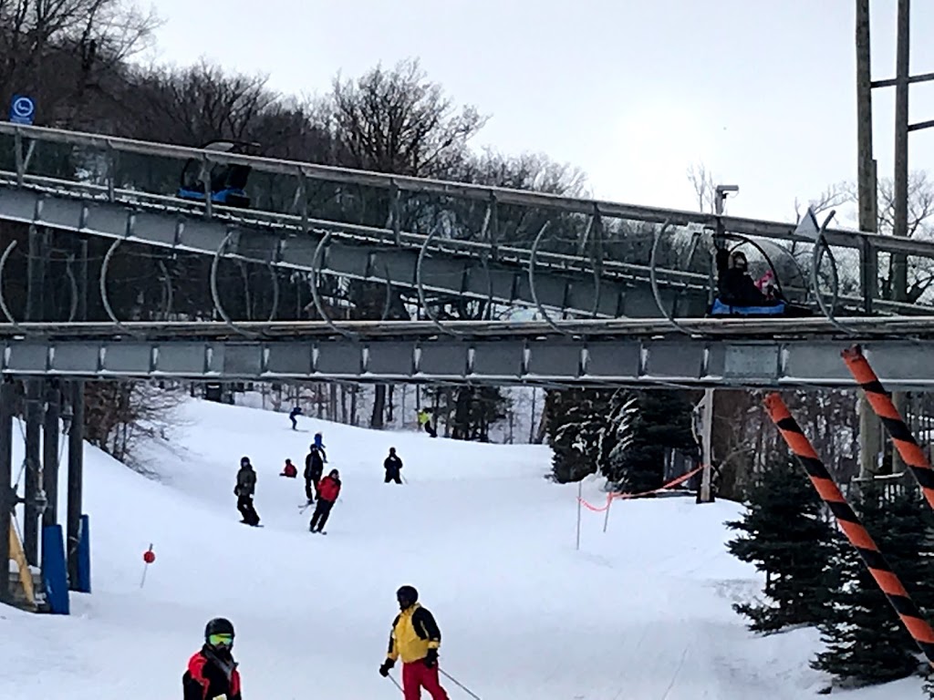 Ridge Runner Mountain Coaster | 150 Jozo Weider Blvd Unit AY2, The Blue Mountains, ON L9Y 0P7, Canada | Phone: (833) 583-2583