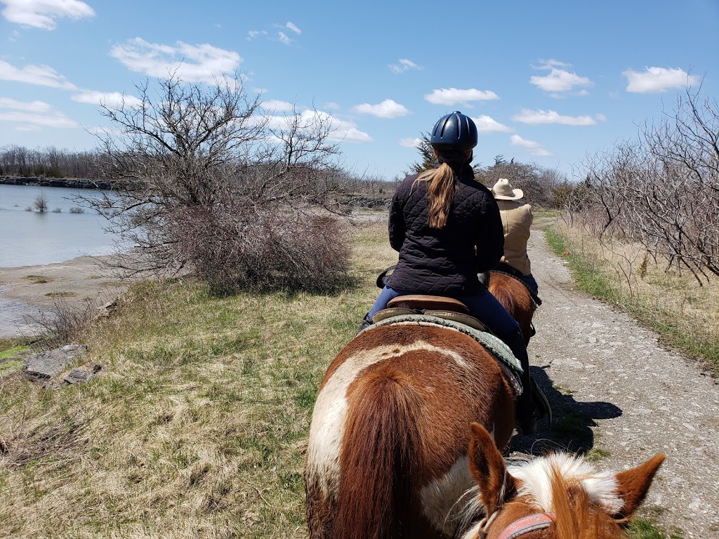 Wainfleet Wetlands Conservation Area | 10638 Quarry Road, Wainfleet, ON, Canada | Phone: (905) 788-3135