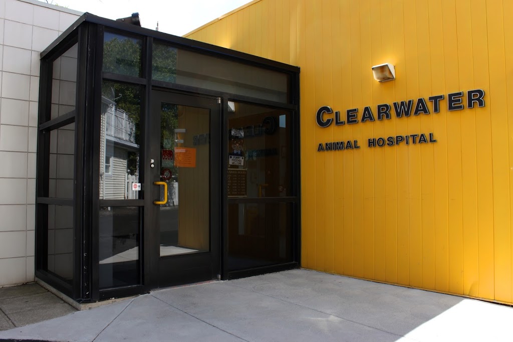 Clearwater Animal Hospital | 1117 Walker Rd, Windsor, ON N8Y 2N8, Canada | Phone: (519) 253-7204