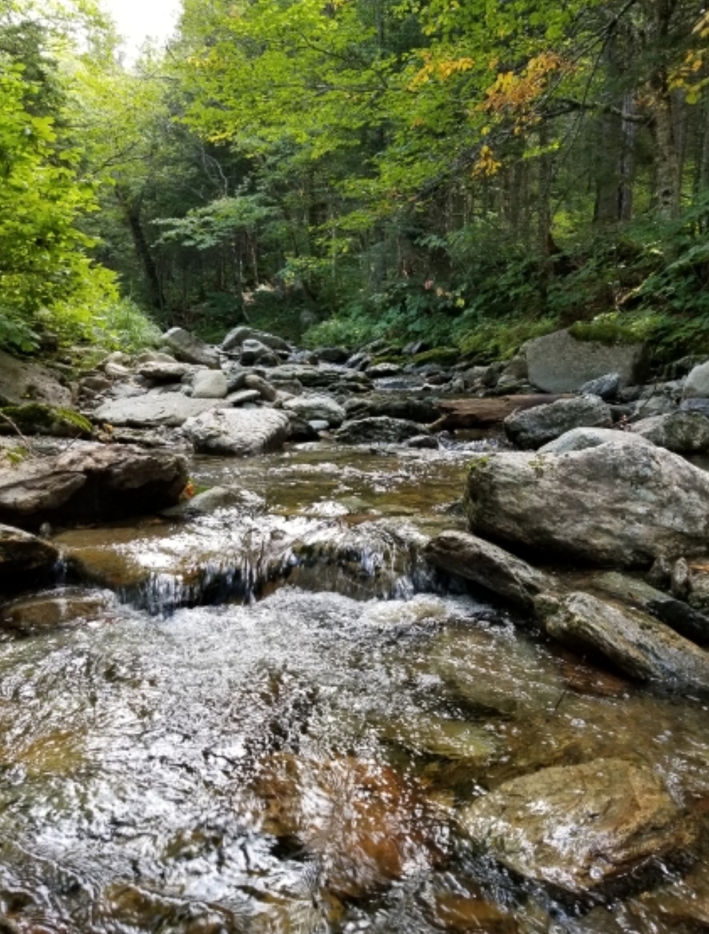 Massif du Sud | 1989 Route du Massif-du-Sud, Saint-Philémon, QC G0R 4A0, Canada | Phone: (877) 869-3676