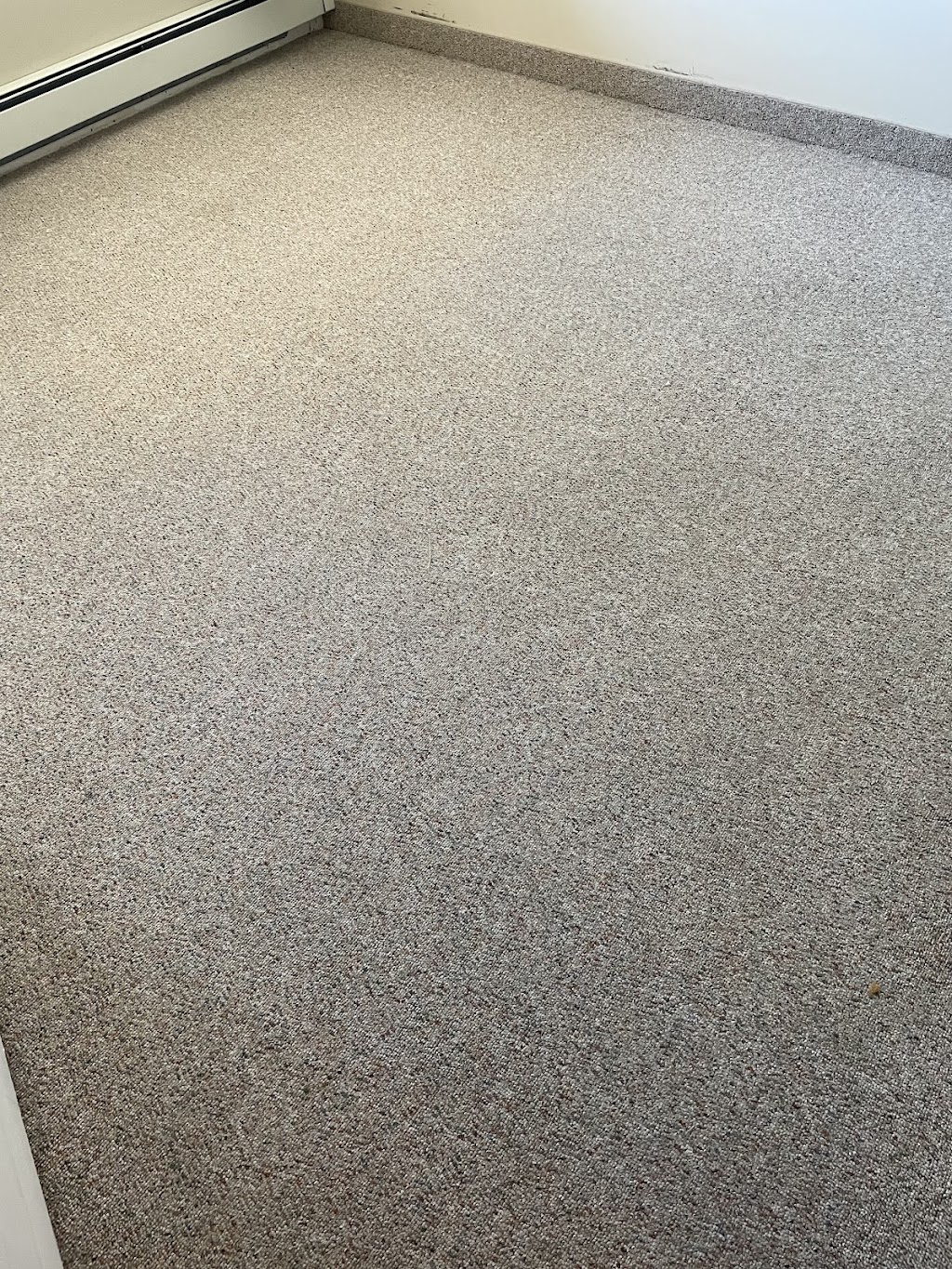 Clean X Carpet and Upholstery Cleaning Ltd. | 374 Sandalwood Close NW, Calgary, AB T3K 4B4, Canada | Phone: (403) 615-1544