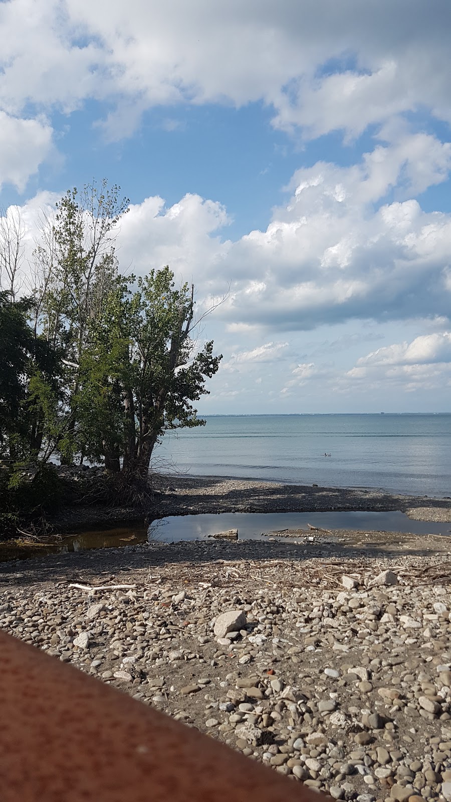 Confederation Beach Park | 680 Waterfront Trail, Hamilton, ON L8E 3L8, Canada | Phone: (905) 547-6141