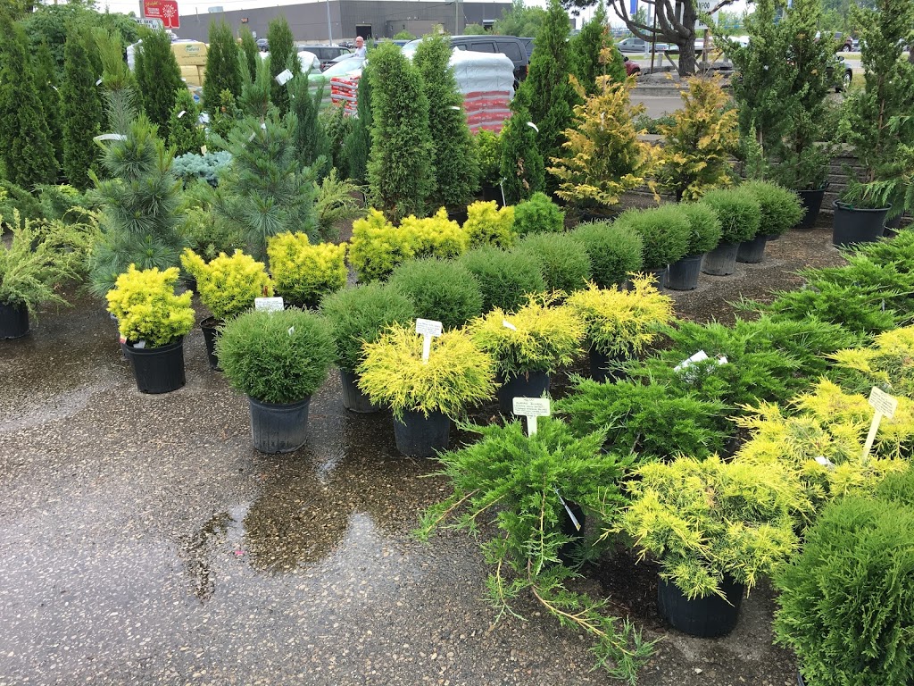 Haights Garden Centre & Landscaping | 1446 Dundas St, Woodstock, ON N4S 7V9, Canada | Phone: (519) 539-9548