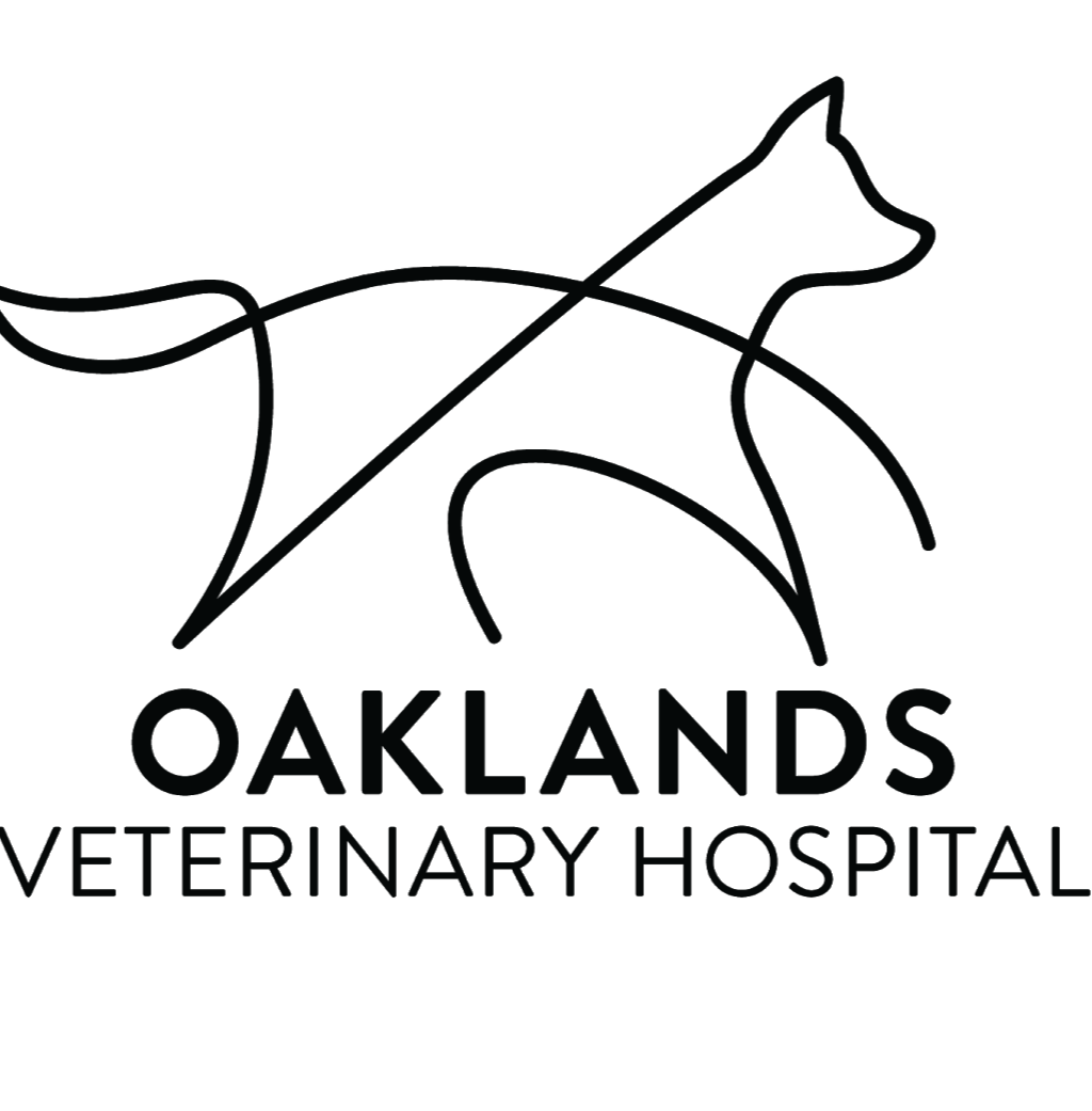 Oaklands Veterinary Hospital | 3115 Cedar Hill Rd, Victoria, BC V8T 3J4, Canada | Phone: (250) 590-4455