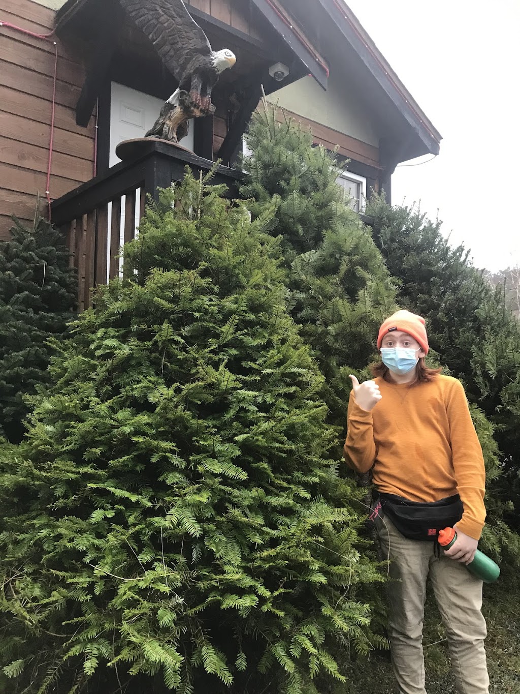 Gogos Christmas Tree Lot | 55 Pryde Ave, Nanaimo, BC V9S 4R5, Canada | Phone: (250) 816-8373