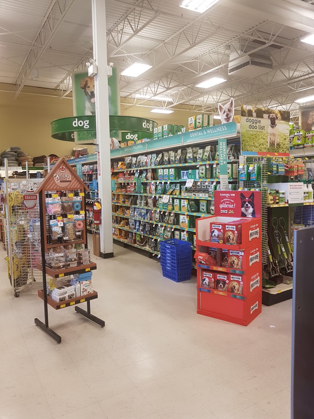 PetSmart | 1719 Preston Ave N, Saskatoon, SK S7N 4V2, Canada | Phone: (306) 651-7130