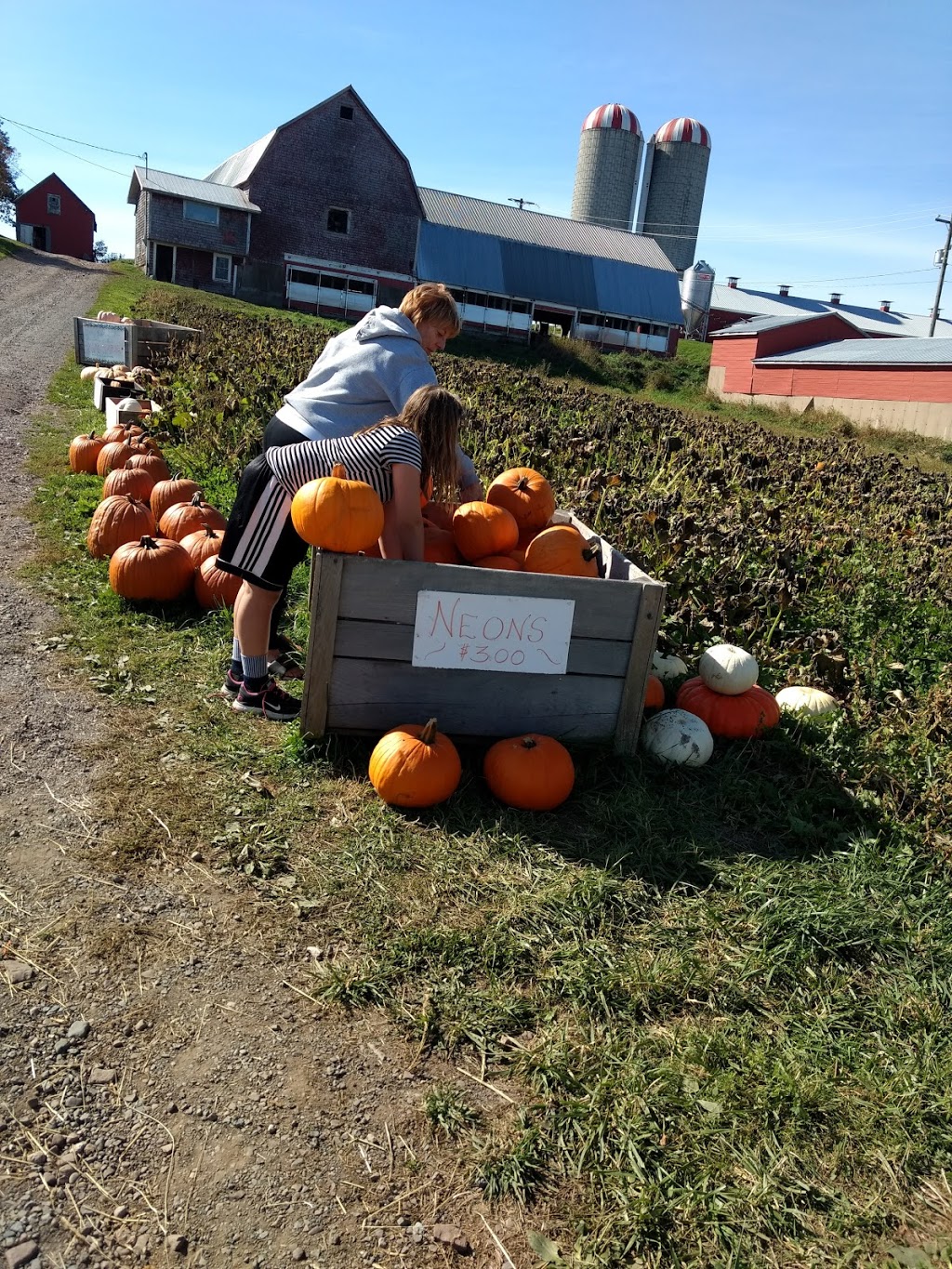 Eureka Farms Ltd | 6029 E River West Side Rd, Eureka, NS B0K 1B0, Canada | Phone: (902) 923-2011