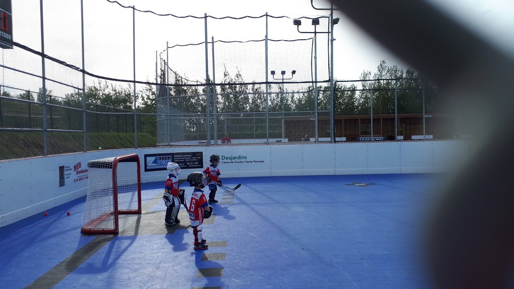 Dek hockey Dix10 | 1425 Rue Principale, Granby, QC J2J 0M3, Canada | Phone: (450) 525-2121