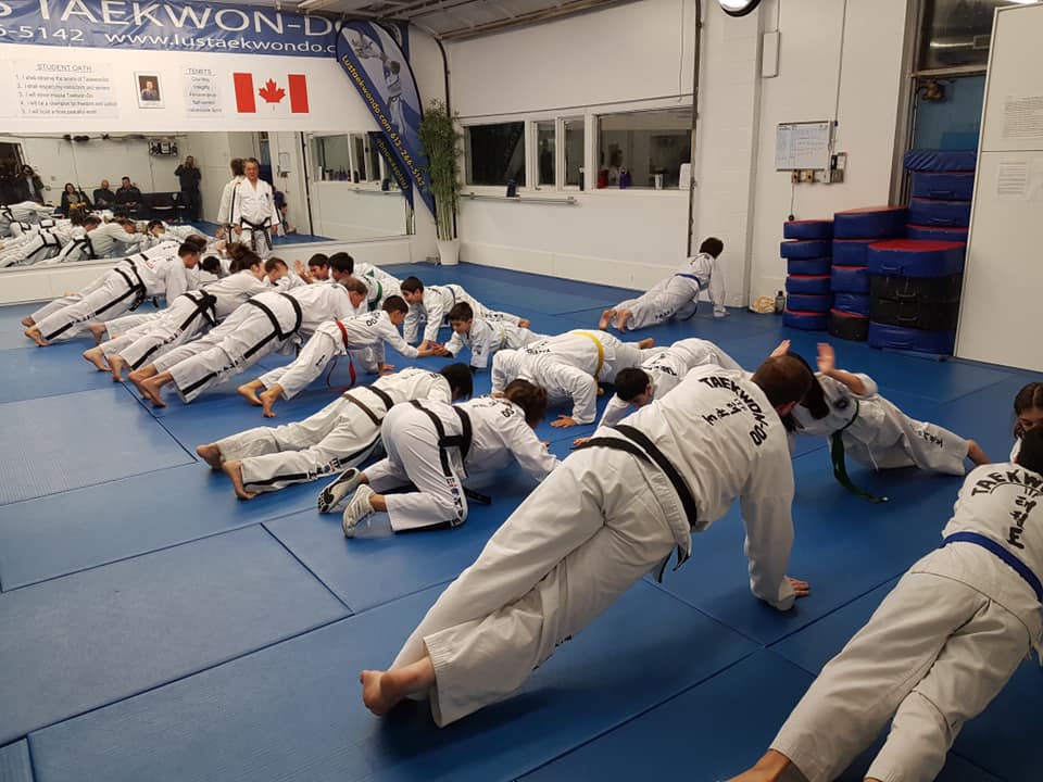 Lus TaeKwon-Do | 2451 Riverside Dr., Ottawa, ON K1H 7X7, Canada | Phone: (613) 266-5142