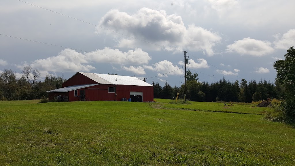 Ten Chances Farm | 1579 Hollowview Rd, Stirling, ON K0K 3E0, Canada | Phone: (613) 243-9727
