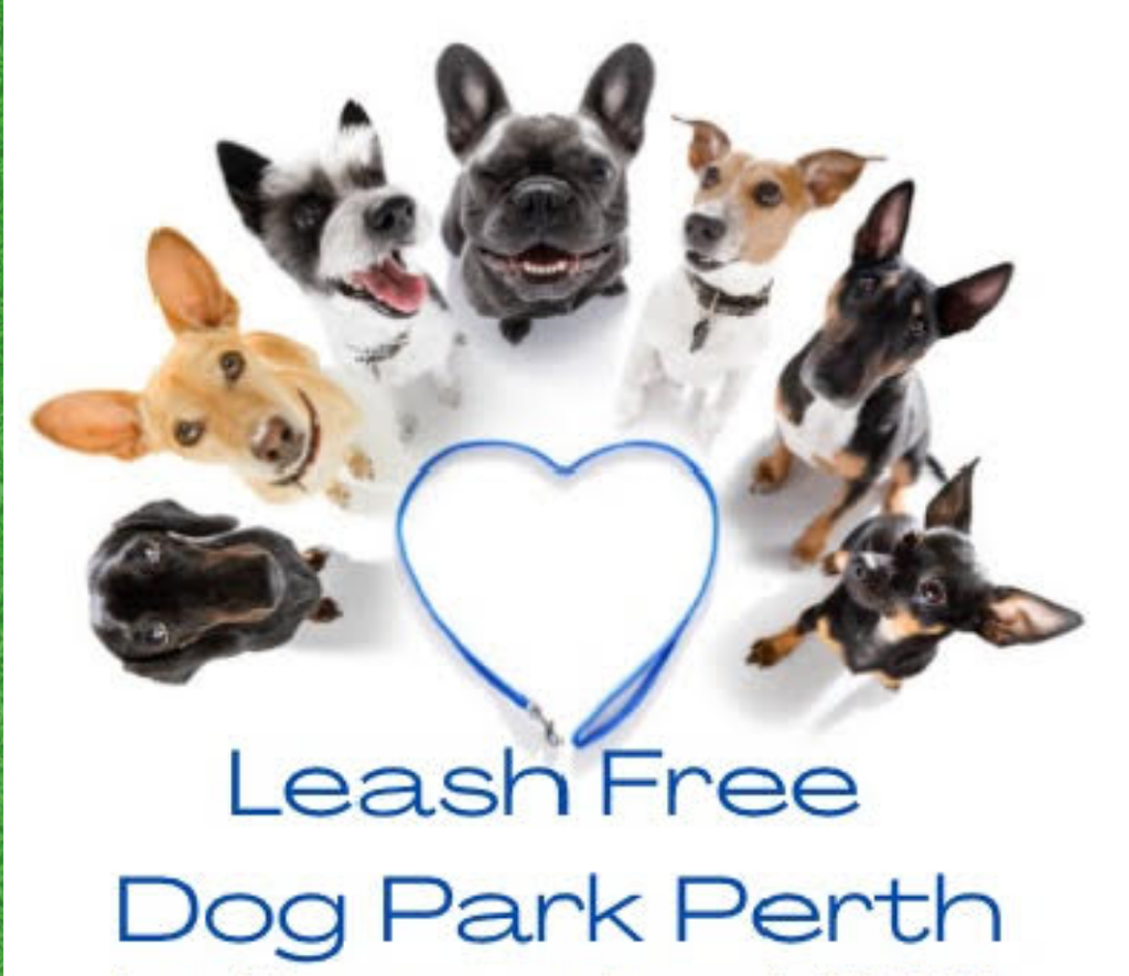 Friends Of Leash Free Dog Park Perth | 13 Joy Ave, Perth, ON K7H 2R2, Canada | Phone: (613) 267-0828