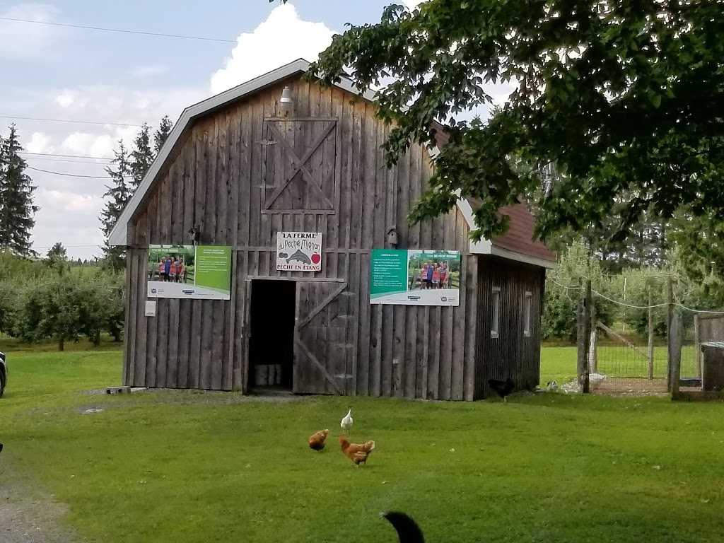 La Ferme Du Pêché Mignon | 110 1er Rang, Saint-Romain, QC G0Y 1L0, Canada | Phone: (418) 486-2451