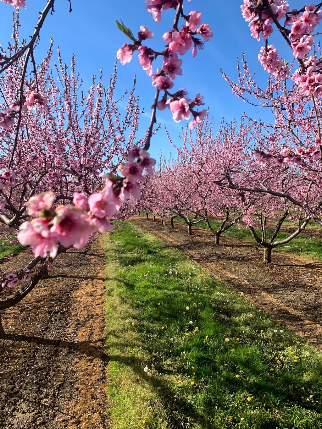 Sunnybrook Farm | 1425 Lakeshore Rd, Niagara-on-the-Lake, ON L0S 1J0, Canada | Phone: (905) 468-8878