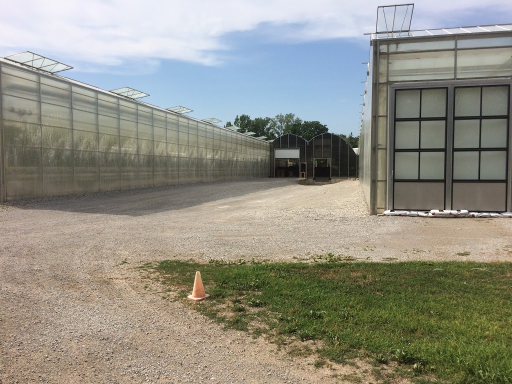 Berkel Greenhouses | 223 14th St E, Simcoe, ON N3Y 4K3, Canada | Phone: (519) 426-0350