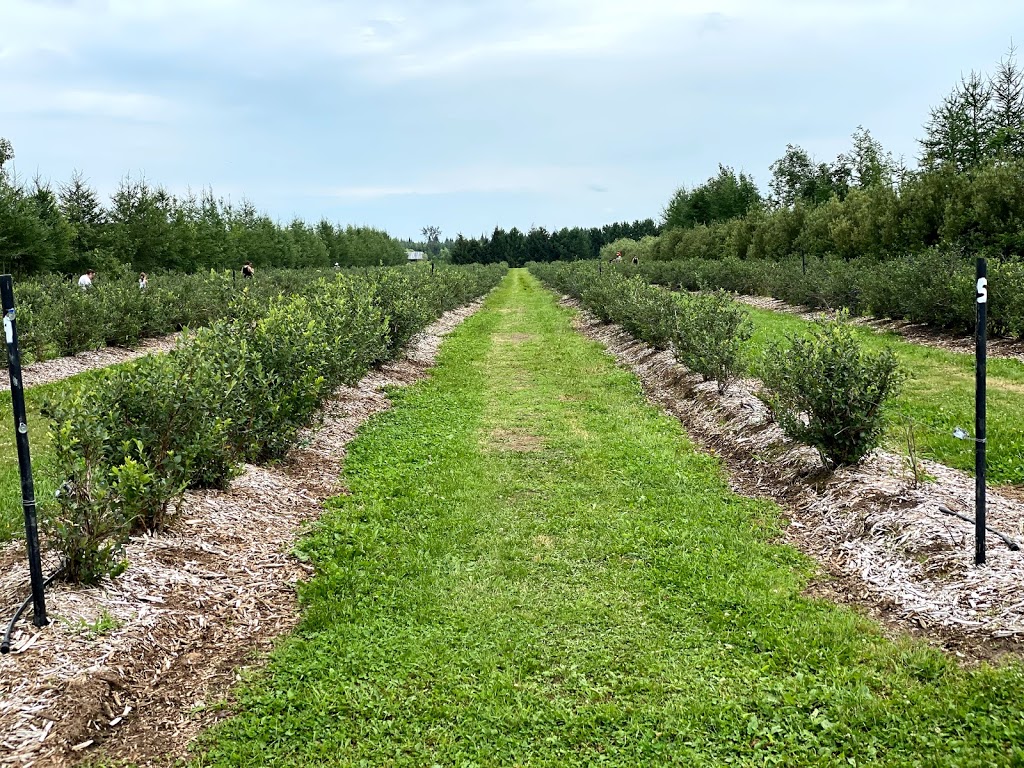 La Vallée bleue Distillerie et Bleuetière | 747 1e Rang, Val-Alain, QC G0S 3H0, Canada | Phone: (418) 271-3063