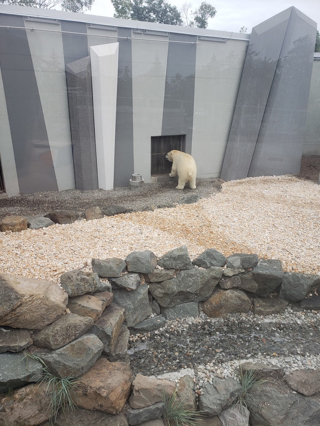 Habitat des ours polaires | 1675 Av. des Hôtels, Québec, QC G1W 4S3, Canada | Phone: (418) 659-5264