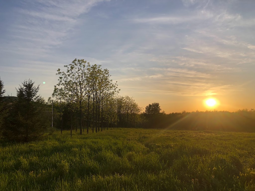 Ferme Le Petit Bûcheron | 95 Nord, Shefford, QC J2M 1H3, Canada | Phone: (514) 400-3957