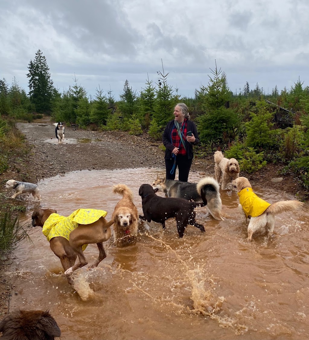 Pawsitive Dog Walking and Daycare | 2421 Cousins Ave, Courtenay, BC V9N 3N6, Canada | Phone: (250) 871-6665