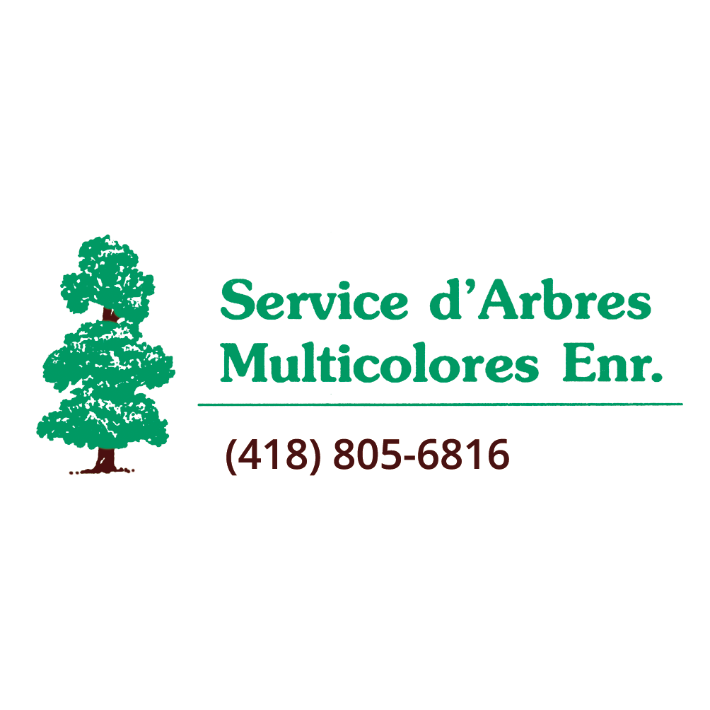 Services DArbres Multicolores Enr | 267 Rue Pierre Verret, Québec, QC G2N 1H2, Canada | Phone: (418) 805-6816