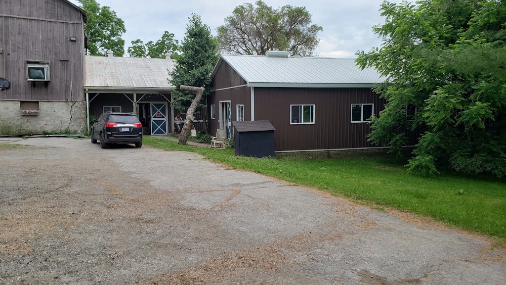 Roberts Equine Stables | 4006 ON-6, Puslinch, ON N0B 2J0, Canada | Phone: (905) 961-2404