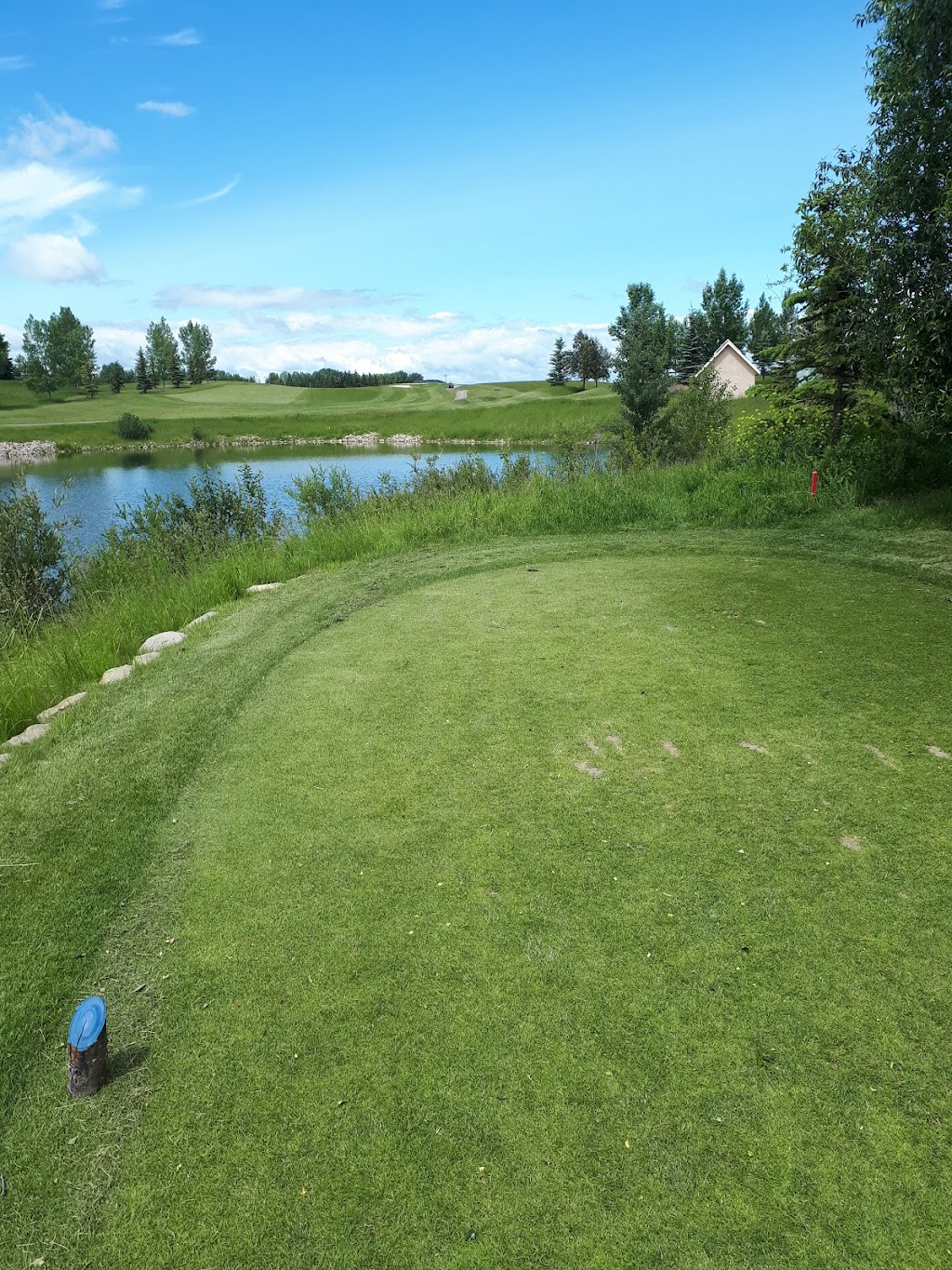 Springbank Turfcare | 333 Rodeo Ridge, Calgary, AB T3Z 3G1, Canada | Phone: (403) 202-2031