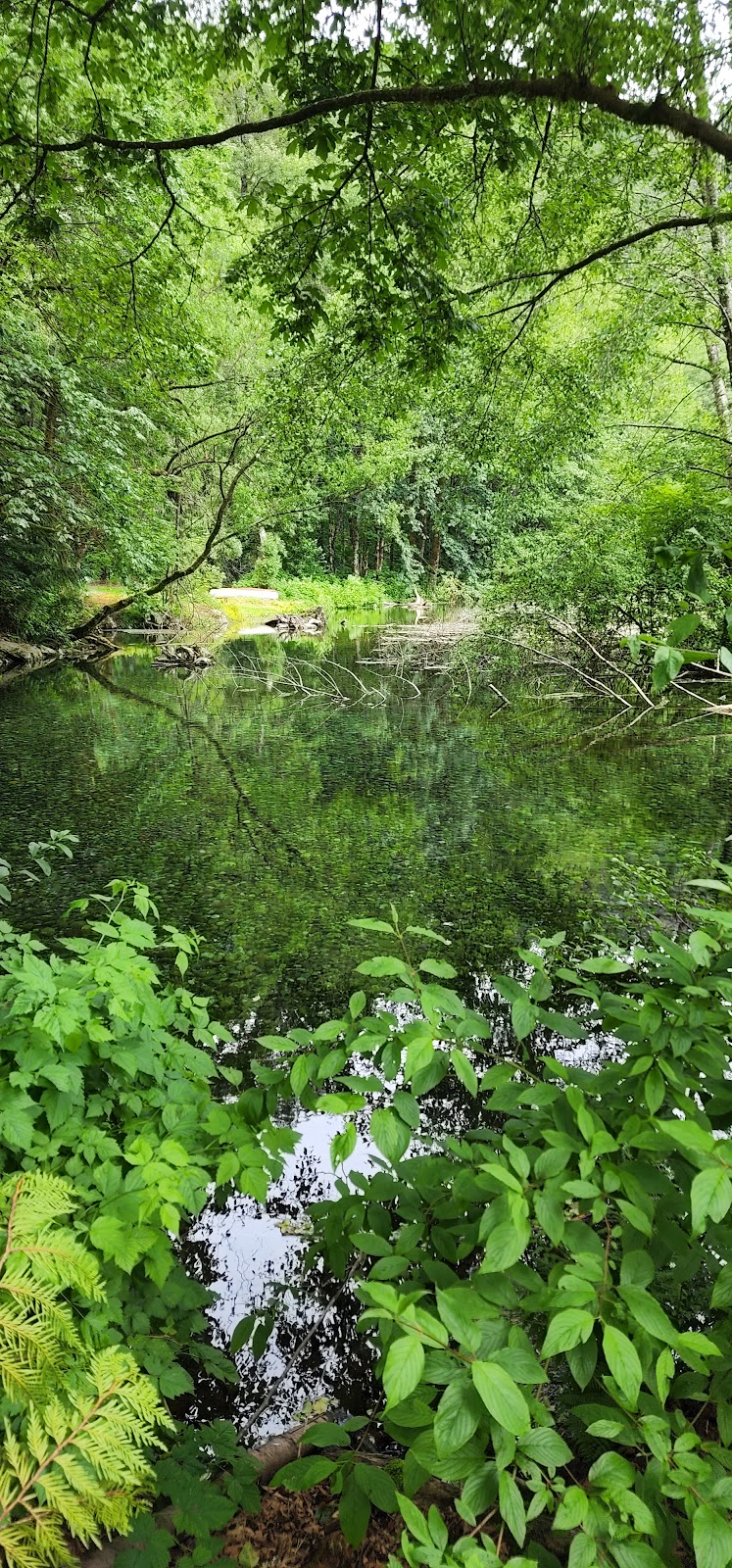 Tenderfoot Creek Hatchery | 1000 Midnight Way, Brackendale, BC V0N 1H0, Canada | Phone: (604) 898-3657