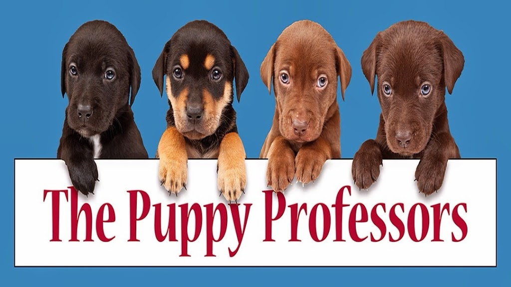 The Puppy Professors | 55 Masters Dr, Barrie, ON L4M 6W9, Canada | Phone: (705) 279-6354