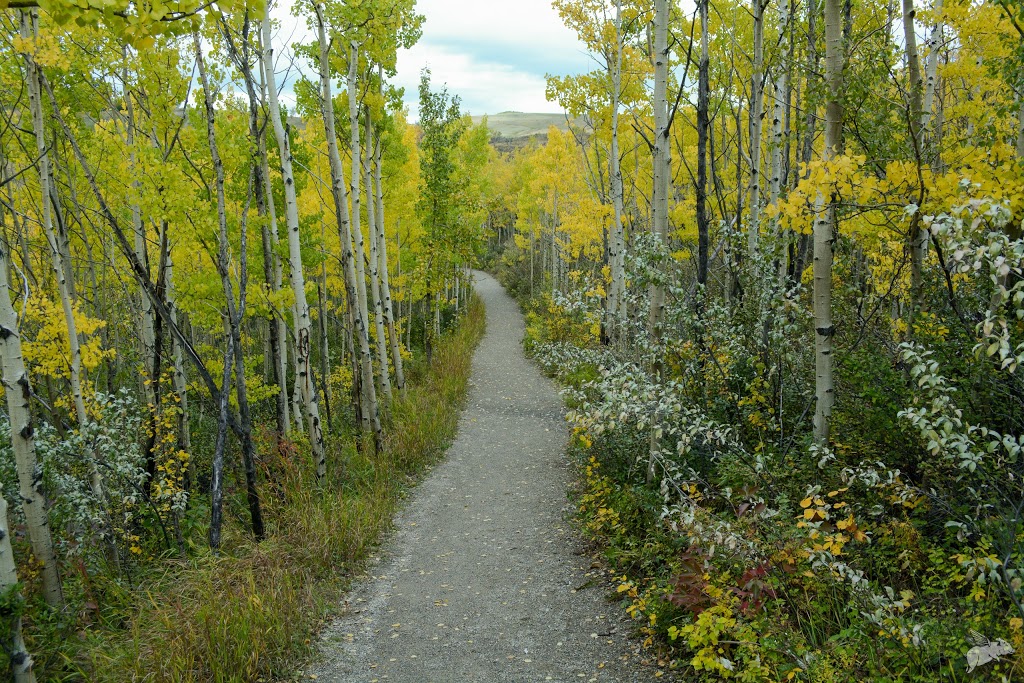 Glenbow Ranch Park Foundation | 255001 Glenbow Rd, Cochrane, AB T4C 0B7, Canada | Phone: (403) 851-9053