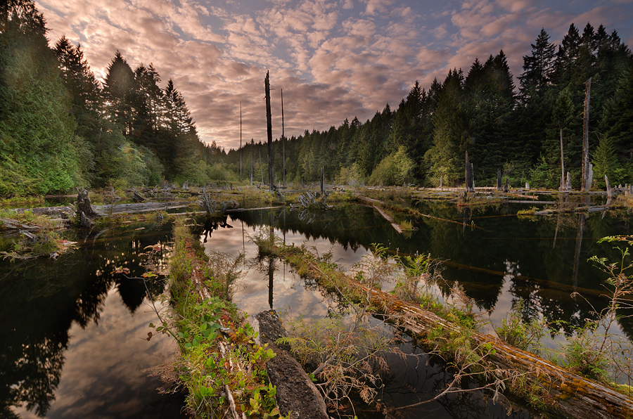 Westwood Lake Park | 381 Westwood Rd, Nanaimo, BC V9R 6S5, Canada | Phone: (250) 754-4251