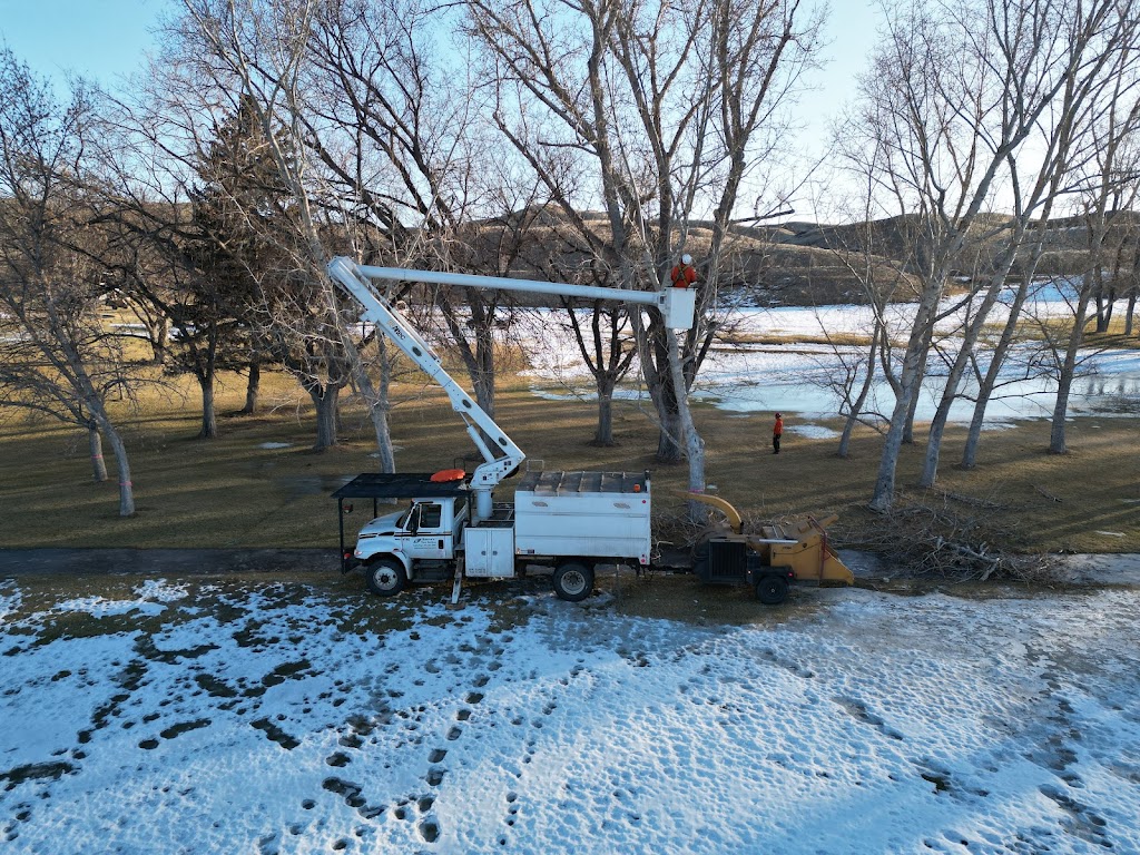 Rosscos Tree Service & Contracting Ltd. | 401 Clark Ave, Lethbridge, AB T1K 8H4, Canada | Phone: (403) 327-2201