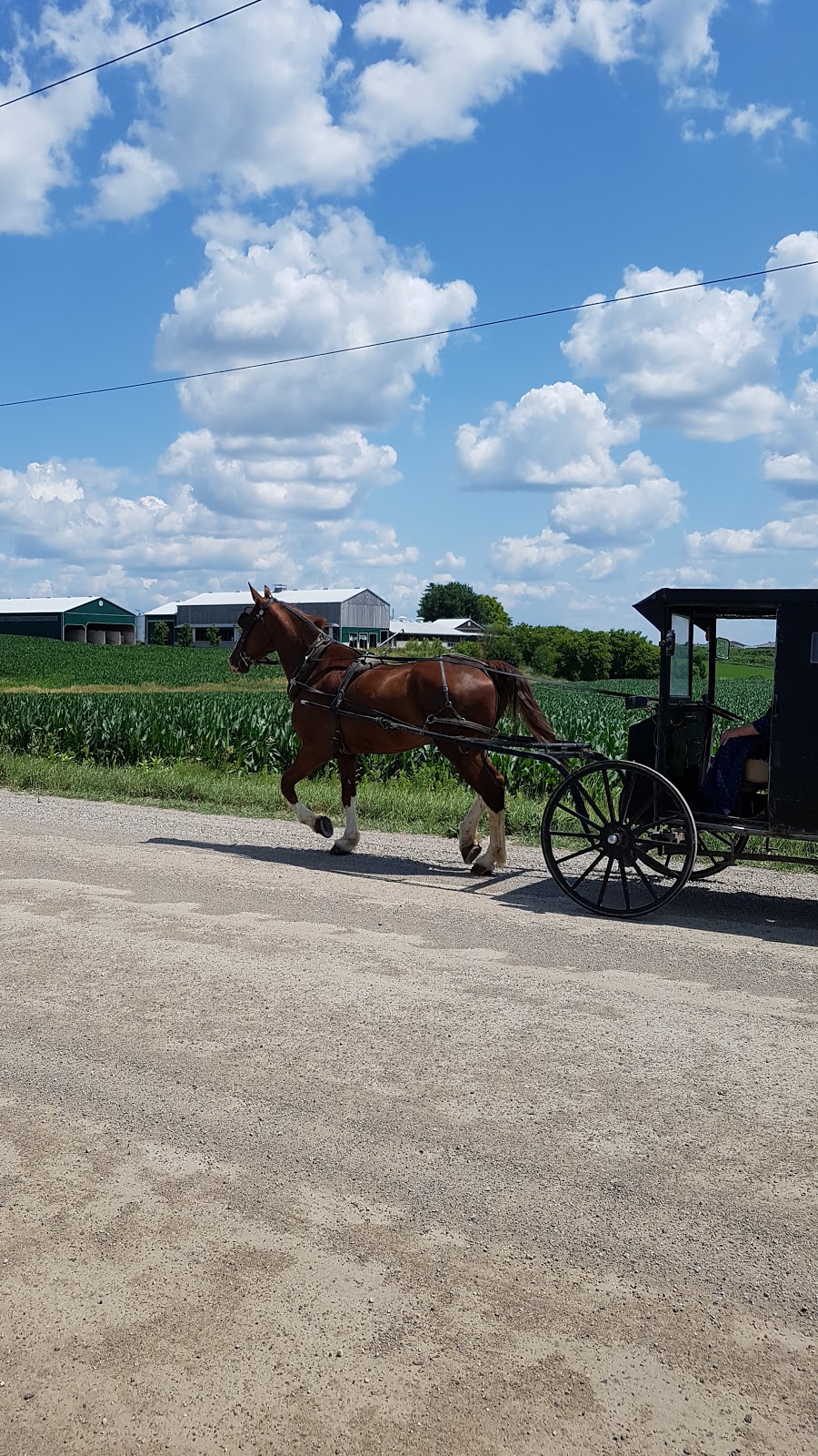 Rolling Acres Farm | 1235 Martin Creek Rd, Waterloo, ON N2J 3Z4, Canada | Phone: (519) 664-1337