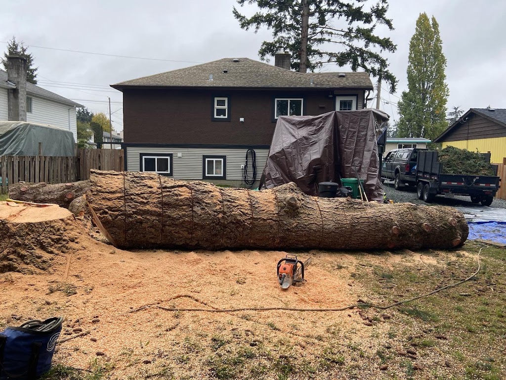 Summit Tree Care | 3646 Reynolds Rd, Nanaimo, BC V9T 2P4, Canada | Phone: (250) 268-8883