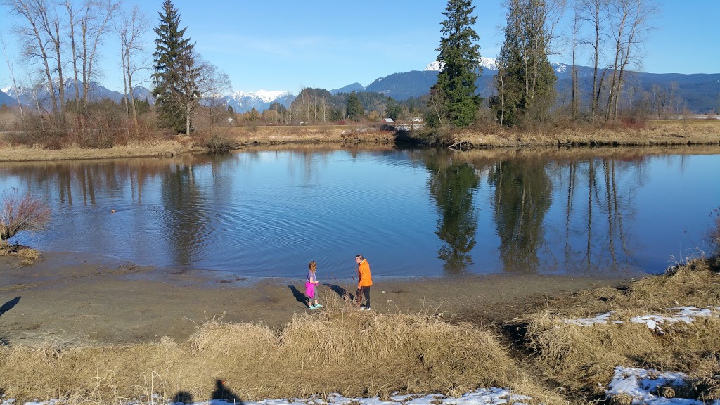 Trail Pavilion | Trans Canada Trail, Pitt Meadows, BC V3Y 2T2, Canada