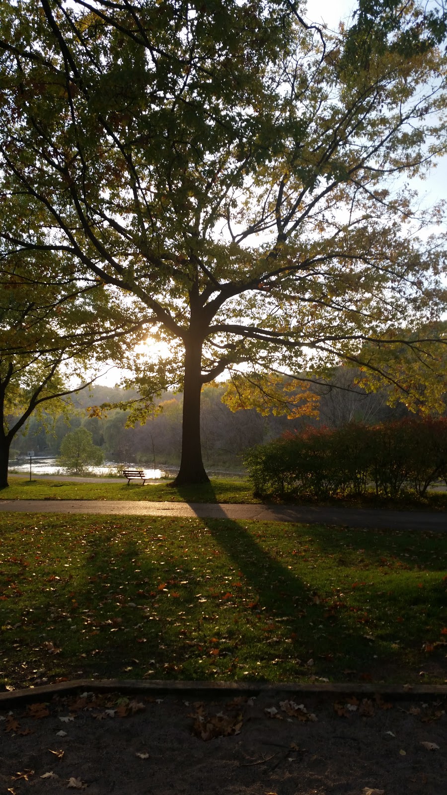 Magwood Park | Lambton Baby Point, Toronto, ON, Canada