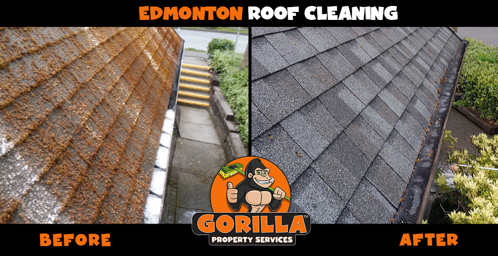 Gorilla Property Services | 14811 114 Ave NW #20, Edmonton, AB T5M 4E5, Canada | Phone: (780) 851-7213