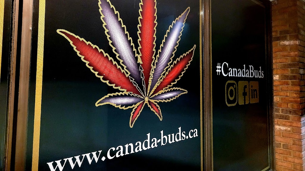 Canada Buds St. Catharines | 595 Carlton St, St. Catharines, ON L2M 4Y2, Canada | Phone: (905) 935-2102