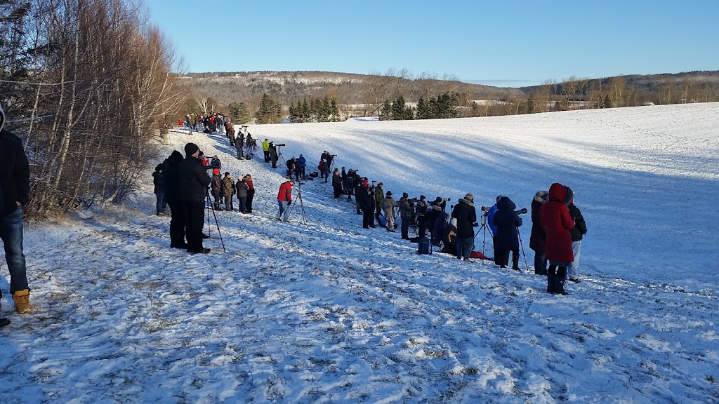 Sheffield Mills Eagle Watch -Eagle viewing site | 1770 Middle Dyke Rd, Centreville, NS B0P 1J0, Canada | Phone: (902) 582-1708