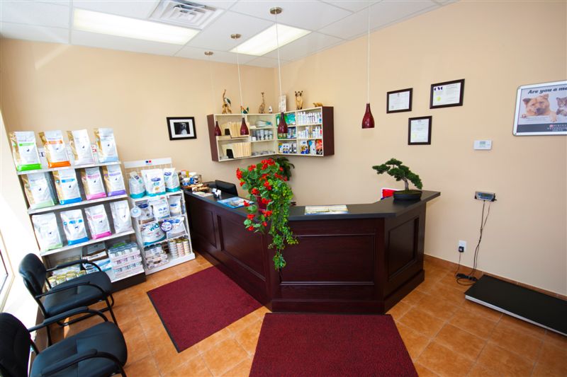 The Collegeway Animal Hospital | 2686 The Collegeway #101, Mississauga, ON L5L 2M9, Canada | Phone: (905) 828-8808