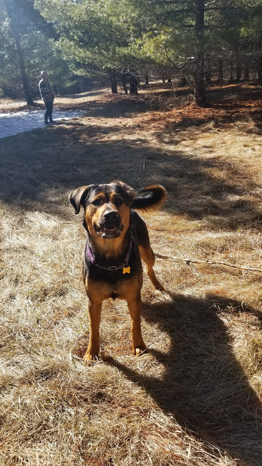 Off-Leash Dog Park | Hanlon Rd, Guelph, ON N1G, Canada