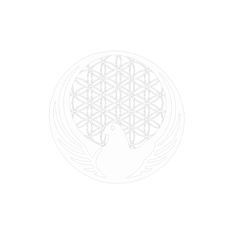 St Catharines Karate School | 89 Scott St, St. Catharines, ON L2N 1G8, Canada | Phone: (905) 646-1223