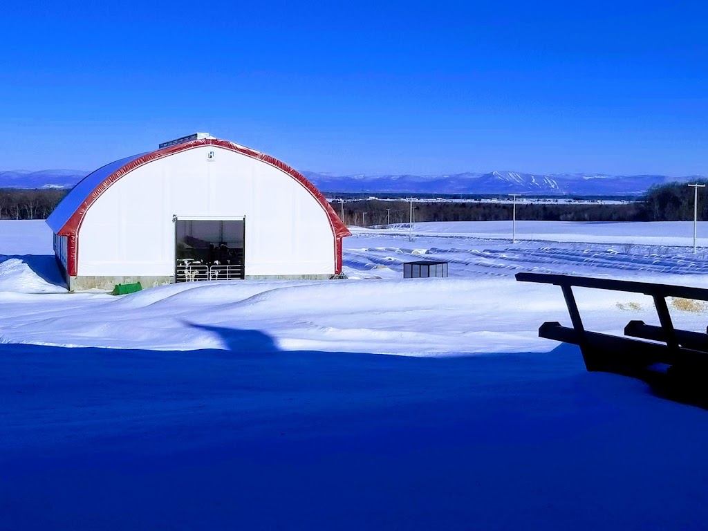 Ferme Féodal | 125 Rang des Fiefs, Saint-Raphaël, QC G0R 4C0, Canada | Phone: (418) 243-2012