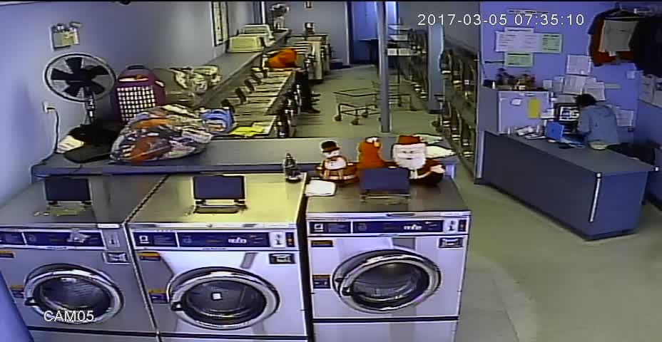 Blue Sky Coin Laundry | 10794 148 St, Surrey, BC V3R 3X6, Canada | Phone: (604) 581-8849